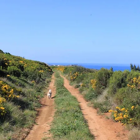 بيت للعطل Charming House In With Fireplace نازاريه