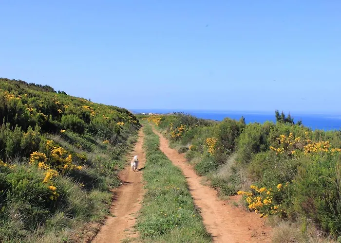 Дом отдыха Charming House In With Fireplace Назаре